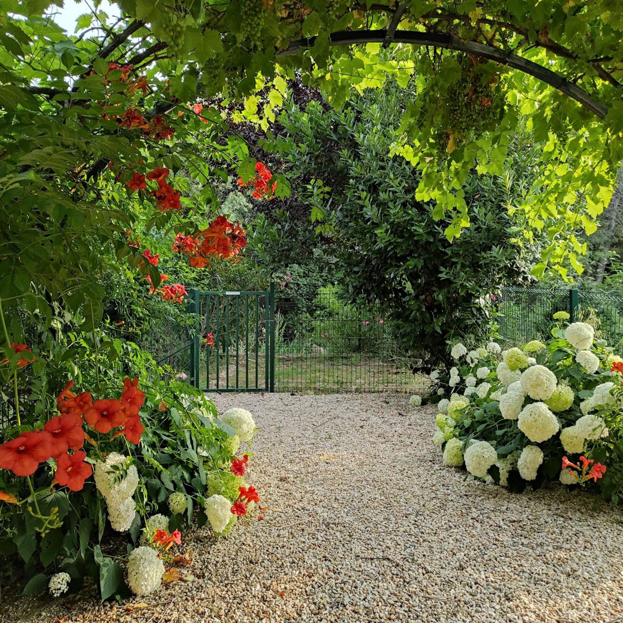 Caunes-Minervois Villa Angel - Spa المظهر الخارجي الصورة
