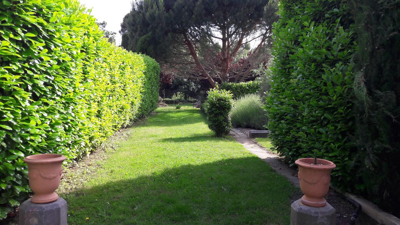 Caunes-Minervois Villa Angel - Spa المظهر الخارجي الصورة