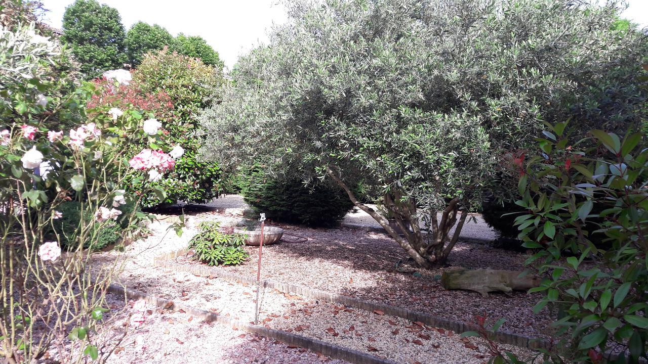 Caunes-Minervois Villa Angel - Spa المظهر الخارجي الصورة